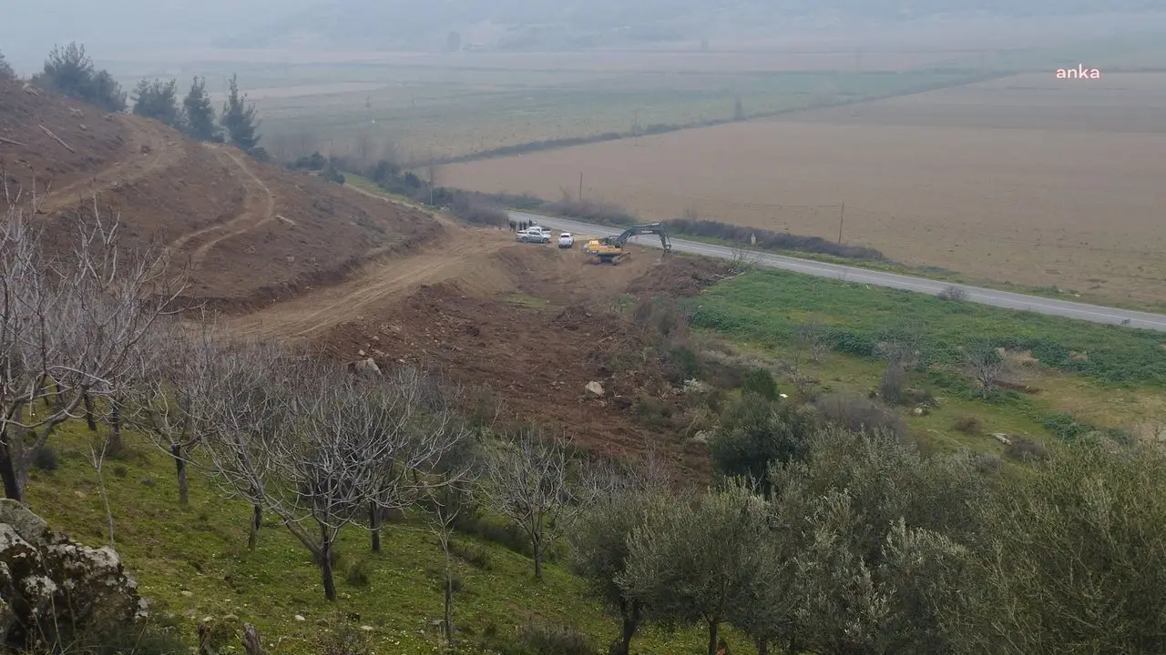 İzmir Tire'de Zeytin Ağaçları ve Doğal Varlıklar Tehdit Altında